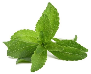 FRESH 'N' FABULOUS STEVIA LEAVE